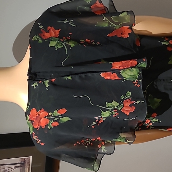 Hell Bunny Vixen Lily inspired sheer crepe dress size L - Picture 9 of 10